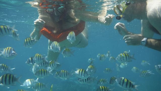 Negril Lobster Lunch on Booby Cay & Snorkeling To a Sunken Cannon