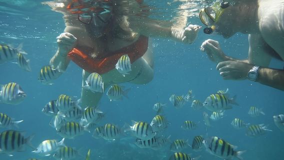 Negril Lobster Lunch on Booby Cay & Snorkeling To a Sunken Cannon