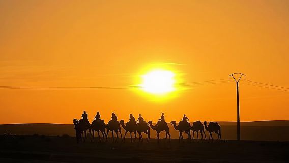 MarrakechTours