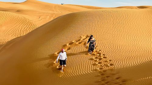 Private 4Hours Red Dunes Safari Camel Ride ,Falcon & Dune Thrills 4