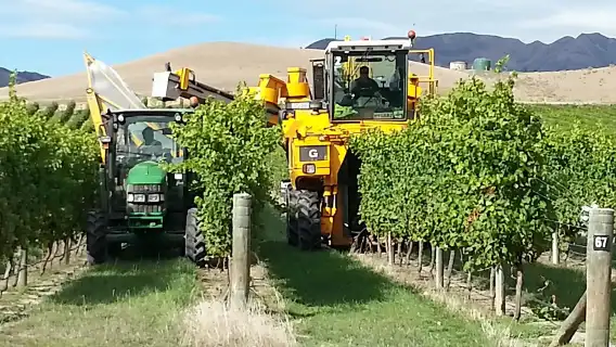 Waipara Wine Tour from Christchurch - including Lunch & Tastings