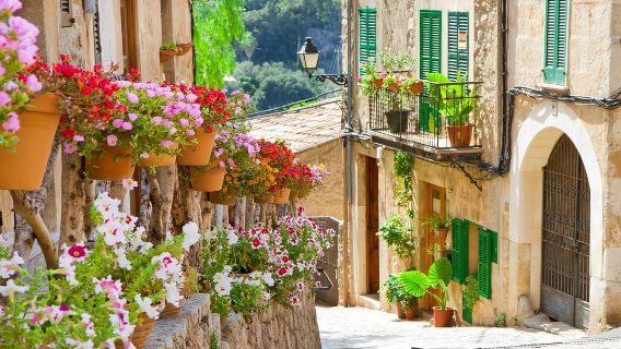 Mallorca: Puerto de Sóller and Valldemossa Morning Trip