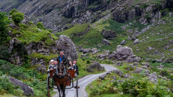 Killarney: Gap of Dunloe Pony, Trap & Traditional Boat Tour