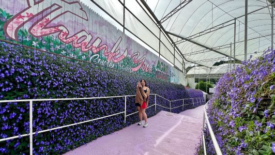 From Kuala Lumpur: Cameron Highlands Day Tour with Lunch