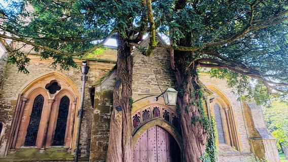 Da Londra: tour di un giorno intero nelle Cotswolds con pranzo facoltativo