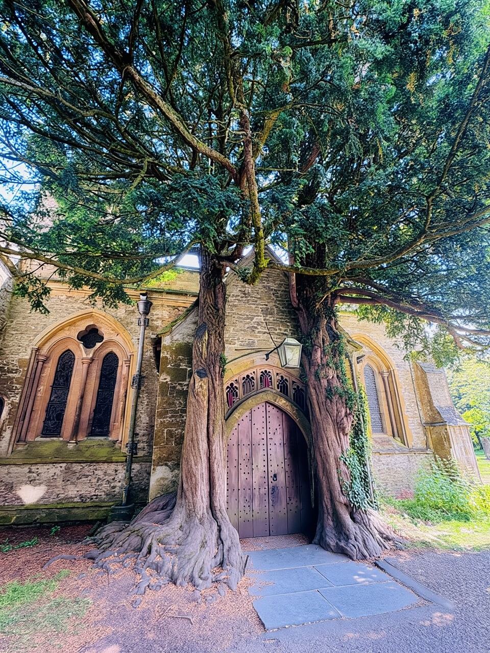 Da Londra: tour di un giorno intero nelle Cotswolds con pranzo facoltativo