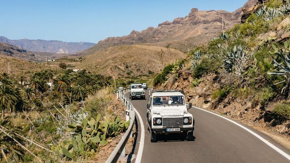 South Gran Canaria: Off-Road Valleys & Villages Jeep Tour