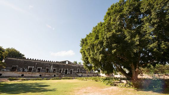 From Merida: Uxmal, Hacienda Yaxcopoil and Cenote with Lunch