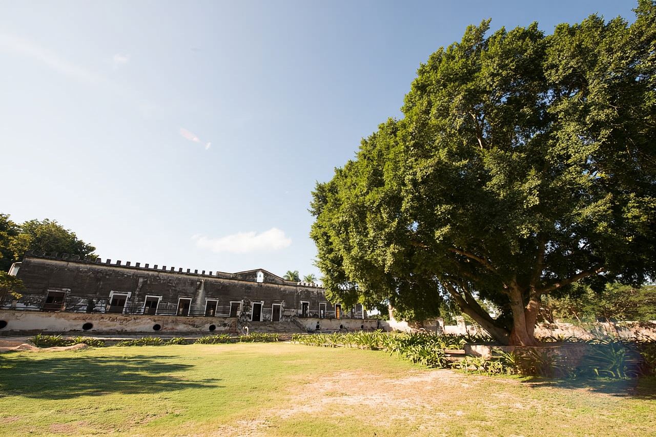 Ab Mérida: Uxmal, Hacienda Yaxcopoil und Cenote mit Mittagessen