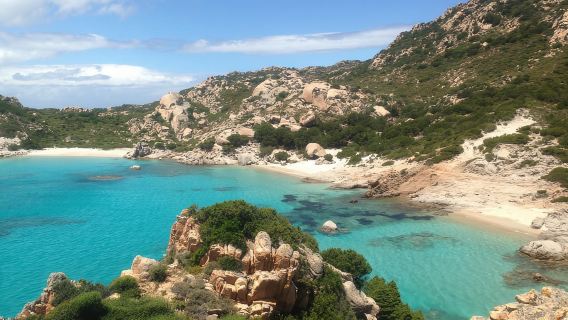 From La Maddalena or Palau: Archipelago Boat Tour