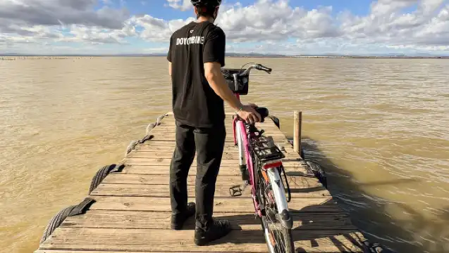 Valencia: Road to La Albufera Guided Private Bike Tour