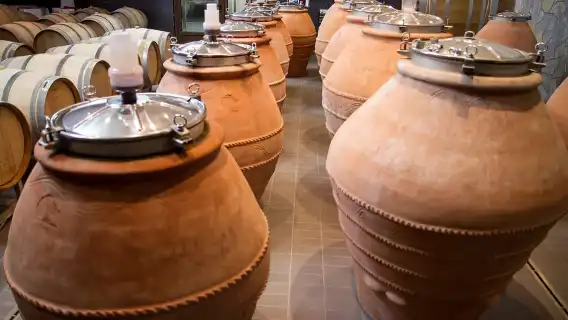 Građani: Winery Tour and Tasting at Winery Lipovac