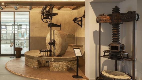Ölmuseum und Mühle in der Toskana: interaktive Tour und Verkostung