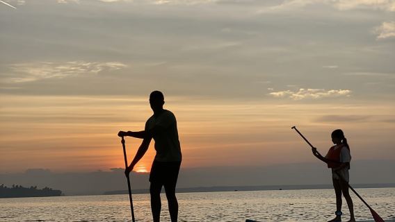 SUP in Kochi: Sunrise Stand-Up Paddleboarding Tour