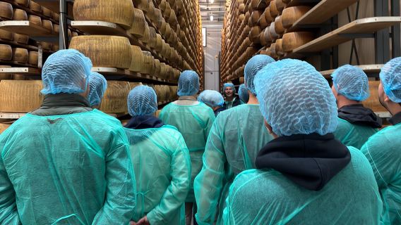 Kulinarische Tour mit Parmesan und Balsamico sowie Besuch des Ferrari-Museums