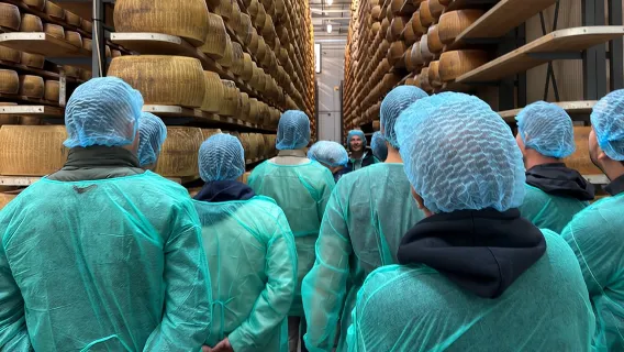 Wycieczka kulinarna z serem Parmezan i octem balsamicznym oraz wizytą w Muzeum Ferrari