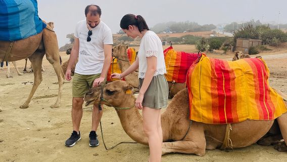 EXPERIENCIA DESTACADA EN TÁNGER CON GRUPO PRIVADO: Lo mejor de la ciudad, paseo en camello y la medina