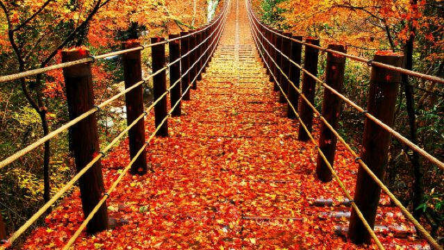 Herbstlaub-Tour: Hanakani-Tal, Ryujin-Hängebrücke, Fukuroda-Wasserfälle (Bustour ab Tokio)