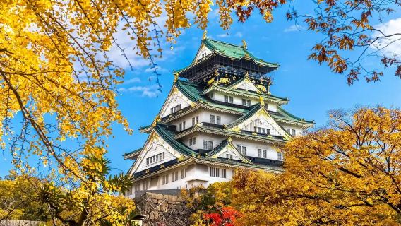 Osaka Castle Private Charter 1-Day Tour with Optional Round-Trip Boat Ticket for Osaka-Busan Miracle of the Stars Cruise
