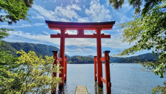 Tokyo|Taman Oishi + Bandar Tangga Syurga + Kapal Lanun + Akuarium Hakone + Tasik Ashi (Ashinoko) + Kongsi Kenderaan
