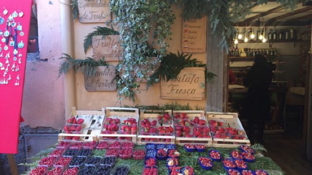 Roman Countryside, Food and Wine Tasting - Private Tour