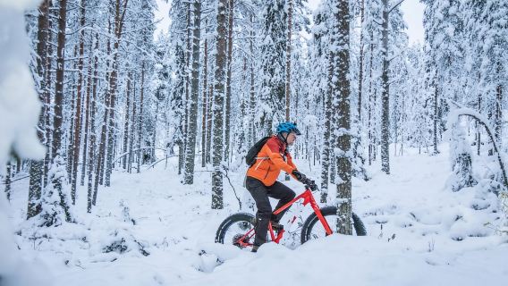 Winter Electric Fat bike Experience