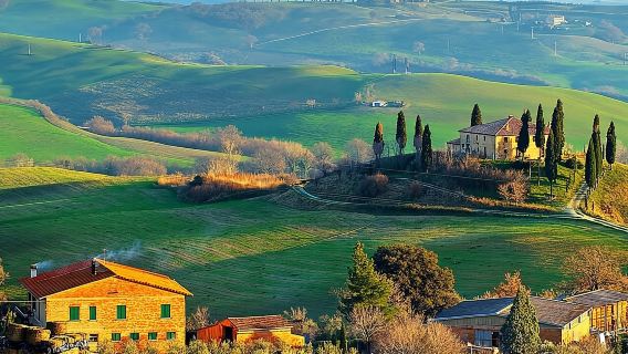 Small-Group Wine Tasting Experience in the Tuscan Countryside
