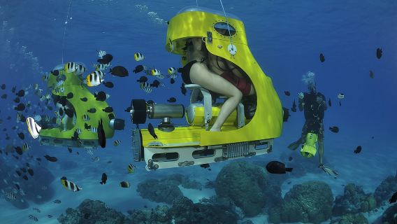 Bora BoraExperiences