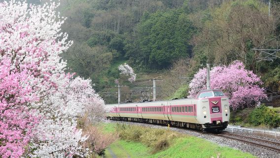 JR PASS Pase de tren regional de Tottori y Matsue (billete electrónico)