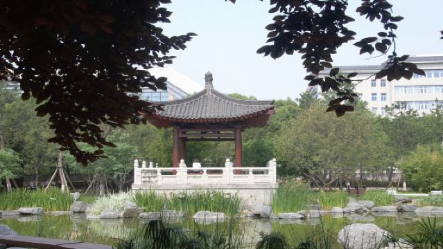 【人員導覽】陝西西安博物院+小雁塔人員導遊導覽服務(含耳機+含門票預約+可選獨立團專業導遊導覽)