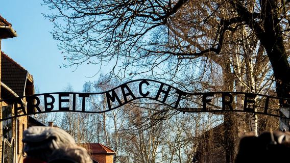 1 Day Auschwitz Birkenau Museum Guided Tour with Hotel Pick up