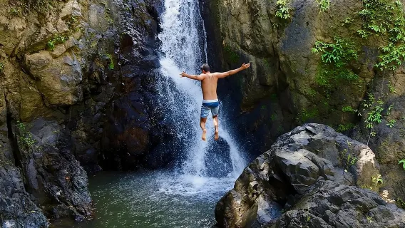 El Yunque: la mejor selva tropical y tobogán acuático – Tour VIP para grupos pequeños