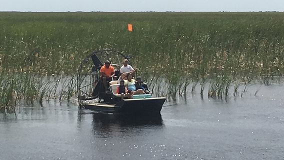 Private 1.5-Hour Airboat Tour of Miami Everglades