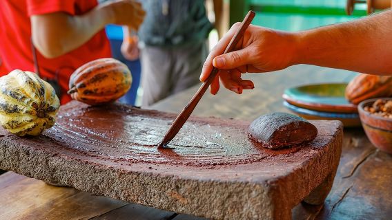 Coffee, Chocolate & Sugar Cane Tour (Regular)