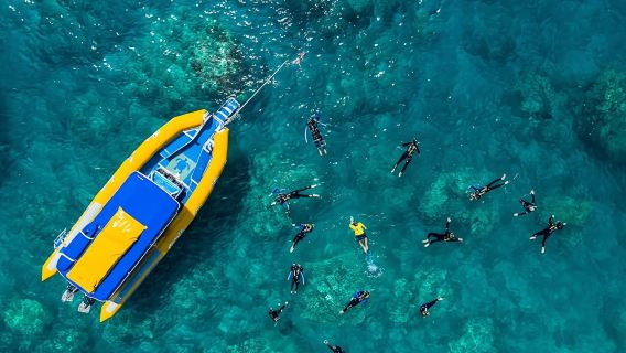 WhitsundaysExperiences