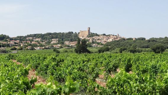 Шатонеф-дю-Пап: тур на полдня с дегустацией вин|Включает посещение 2 виноделен и дегустацию вин.|Авиньон и туда и обратно/в обе стороны