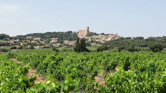 Half-day tour to Châteauneuf-du-Pape wineries in France including visits and wine tasting at two wineries with round-trip from Avignon