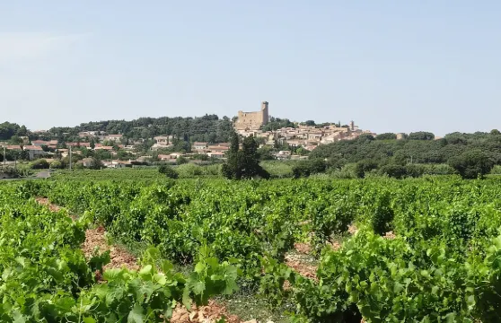 法國教皇新堡品酒半日遊|含2座葡萄酒莊參觀品酒|阿維尼翁來回