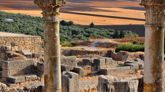 Gita privata di un giorno a Volubilis, Meknes e Moulay Driss da Fez