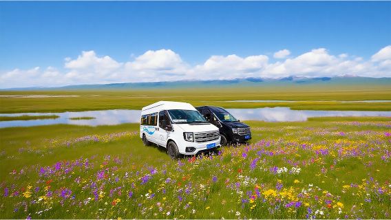 若爾蓋花湖一日遊「高鐵站·九寨溝發車」單程&來回&連程可選｜車輛5-9座接駁車拼車｜若爾蓋花湖生態園旅遊區