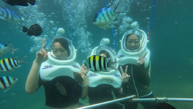 Full-day Cham Islands Cruise from Hoi An with Underwater Walking Excursion