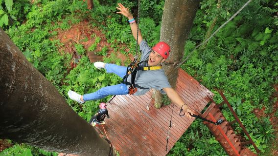 World C+ (Ziplines 10 Platforms + Roller + Sky Walk and World Set Menu )