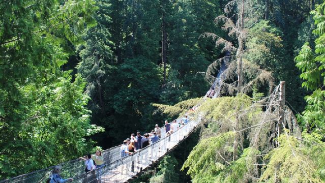 Grouse Mountain & Capilano Bridge Tour with Fish Hatchery
