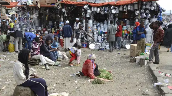 ทัวร์เมืองแอดดิสอาบาบาเต็มวันพร้อมบริการรับส่งที่โรงแรม