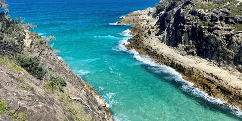 布里斯班出發:北斯特拉德布羅克島野生動物探險之旅
