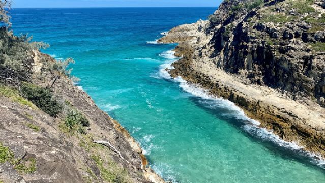 North Stradbroke Island WILDLIFE Adventure Tour from Brisbane