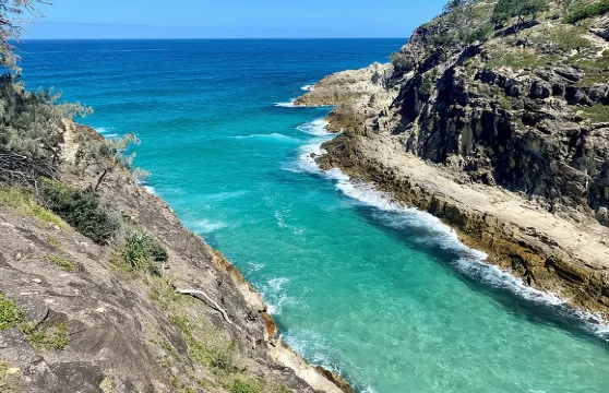 布里斯班出發：北斯特拉德布羅克島野生動物探險之旅