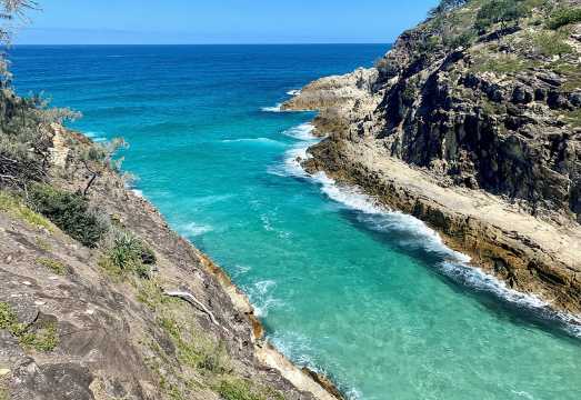 North Stradbroke Island WILDLIFE Adventure Tour from Brisbane AUD 151.95