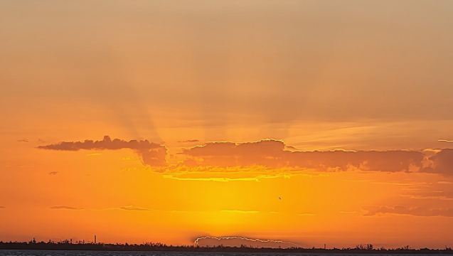 フォートマイヤーズビーチ サンセット＆ドルフィンウォッチングクルーズ