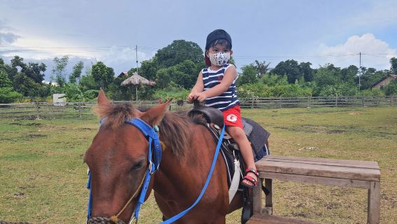 Bohol South Farm Tour Panglao